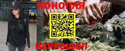 дмт Можайск