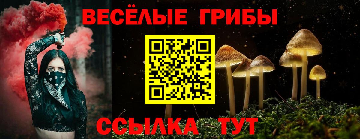 Псилоцибиновые грибы MAGIC MUSHROOMS Урюпинск
